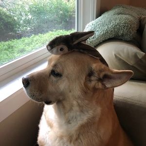 Meet your Posher, Maureen